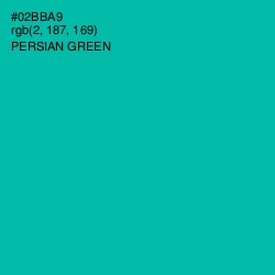 #02BBA9 - Persian Green Color Image