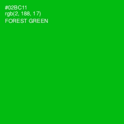 #02BC11 - Forest Green Color Image