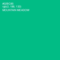 #02BC85 - Mountain Meadow Color Image