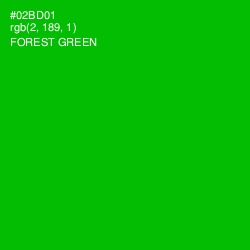 #02BD01 - Forest Green Color Image