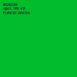 #02BD2B - Forest Green Color Image