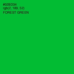 #02BD34 - Forest Green Color Image