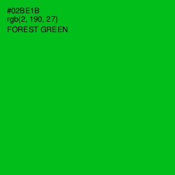 #02BE1B - Forest Green Color Image