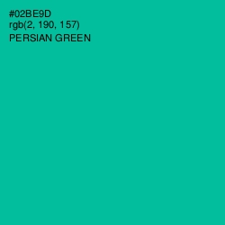 #02BE9D - Persian Green Color Image