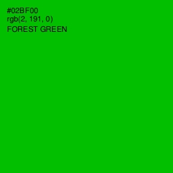 #02BF00 - Forest Green Color Image