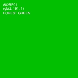 #02BF01 - Forest Green Color Image