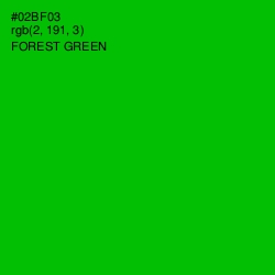 #02BF03 - Forest Green Color Image