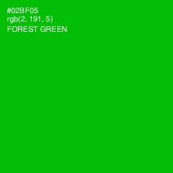 #02BF05 - Forest Green Color Image