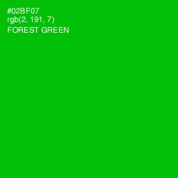 #02BF07 - Forest Green Color Image