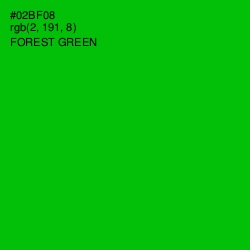 #02BF08 - Forest Green Color Image