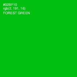 #02BF10 - Forest Green Color Image