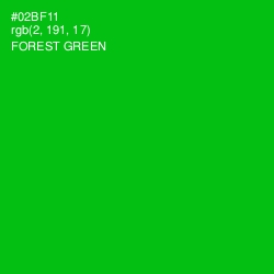 #02BF11 - Forest Green Color Image