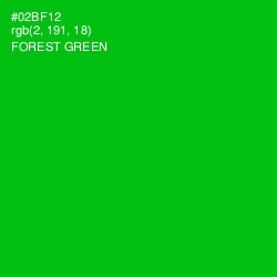 #02BF12 - Forest Green Color Image