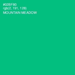 #02BF80 - Mountain Meadow Color Image