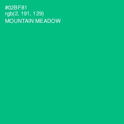 #02BF81 - Mountain Meadow Color Image