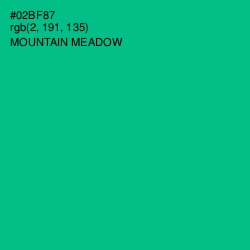 #02BF87 - Mountain Meadow Color Image