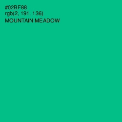 #02BF88 - Mountain Meadow Color Image