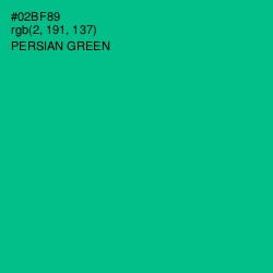 #02BF89 - Persian Green Color Image
