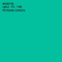 #02BF9E - Persian Green Color Image