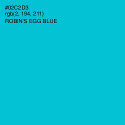 #02C2D3 - Robin's Egg Blue Color Image