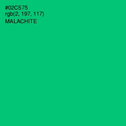 #02C575 - Malachite Color Image