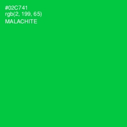 #02C741 - Malachite Color Image