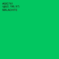 #02C761 - Malachite Color Image