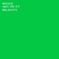 #02C843 - Malachite Color Image