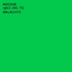 #02C84B - Malachite Color Image