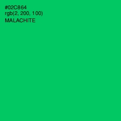 #02C864 - Malachite Color Image