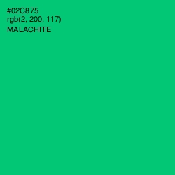 #02C875 - Malachite Color Image