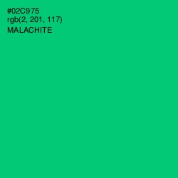 #02C975 - Malachite Color Image