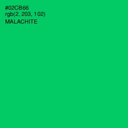 #02CB66 - Malachite Color Image