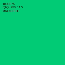 #02CB75 - Malachite Color Image