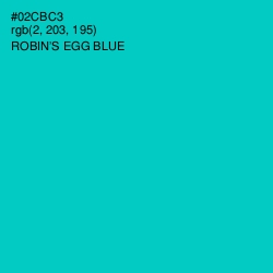 #02CBC3 - Robin's Egg Blue Color Image