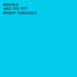 #02CDED - Bright Turquoise Color Image