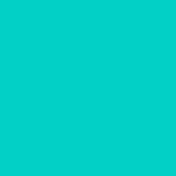 #02D0C4 - Robin's Egg Blue Color Image