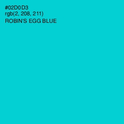 #02D0D3 - Robin's Egg Blue Color Image