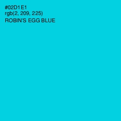 #02D1E1 - Robin's Egg Blue Color Image
