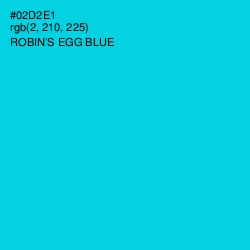 #02D2E1 - Robin's Egg Blue Color Image