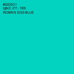 #02D3C1 - Robin's Egg Blue Color Image