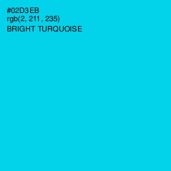 #02D3EB - Bright Turquoise Color Image