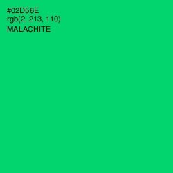 #02D56E - Malachite Color Image