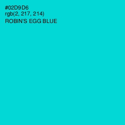 #02D9D6 - Robin's Egg Blue Color Image