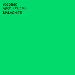 #02DB6C - Malachite Color Image