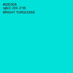 #02E0DA - Bright Turquoise Color Image