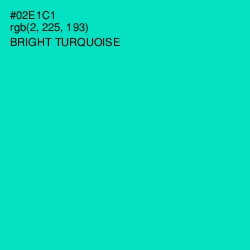 #02E1C1 - Bright Turquoise Color Image