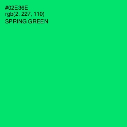 #02E36E - Spring Green Color Image