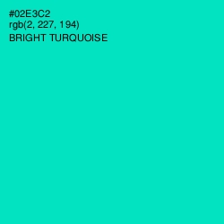 #02E3C2 - Bright Turquoise Color Image