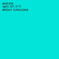 #02E3D9 - Bright Turquoise Color Image